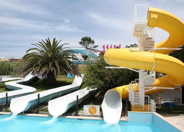 Teimoso 2* 피게이라다포즈